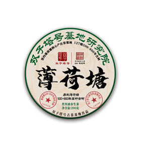 【双子塔号古茶】【5月22日19:00准时开抢！】【专柜价：1980元/片 仅限前66名VIP抢购：180元/片 ！拍5发6 拍20发25】2025年薄荷塘500-800年签约18号基地古树 铜锅炒制