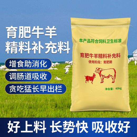 华畜肉牛羊精料催肥增重促消化吸收好增强免疫早出栏补充营养饲料 商品图2