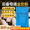 华畜后备母猪全价料补充营养促进发育提高繁殖抵抗力强高蛋白饲料 商品缩略图1
