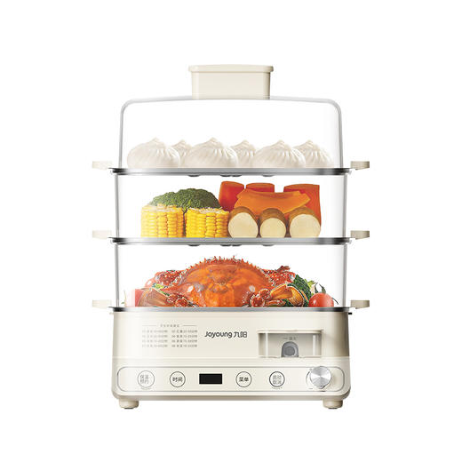 九阳电蒸锅DZ180HG-GZ568 商品图0