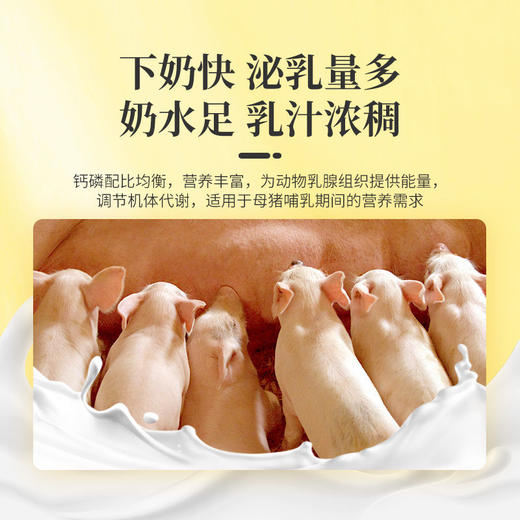 华畜哺乳母猪全价料催乳下奶提高免疫奶水好防便秘产后恢复饲料 商品图3