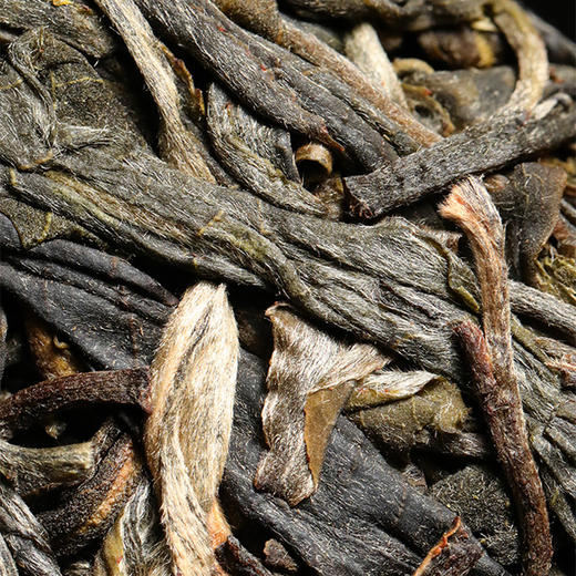 【双子塔号古茶】【5月22日19:00准时开抢！】【专柜价：1980元/片 仅限前66名VIP抢购：180元/片 ！拍5发6 拍20发25】2025年薄荷塘500-800年签约18号基地古树 铜锅炒制 商品图3