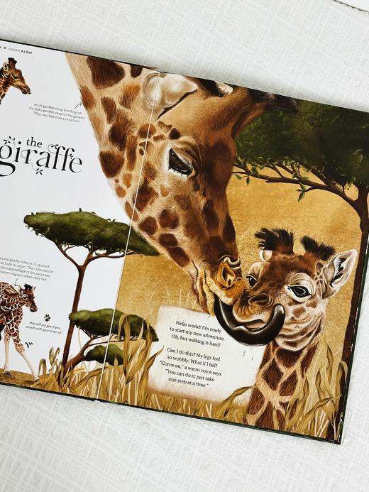 【Clavis】Wild about Mom原版英文儿童绘本 商品图3