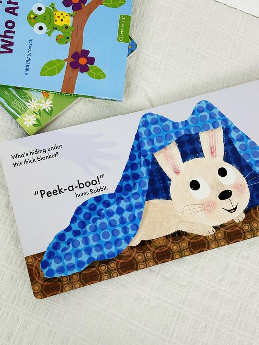 【Clavis】 西纳顿低幼三合一 原版英文儿童绘本 商品图2