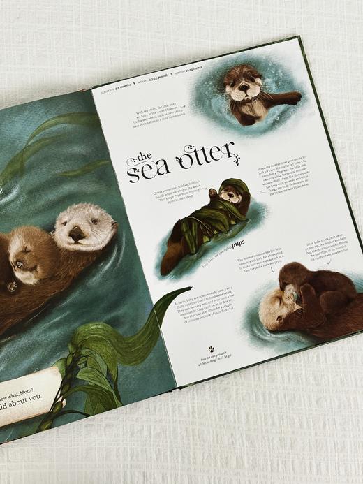 【Clavis】Wild about Mom原版英文儿童绘本 商品图5