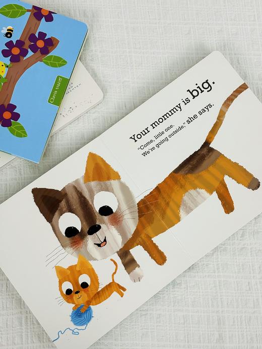 【Clavis】 西纳顿低幼三合一 原版英文儿童绘本 商品图4