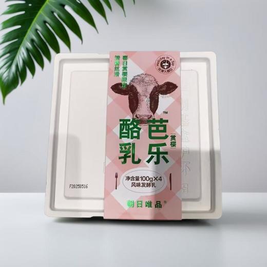 芭乐赏樱酪乳白桃风味发酵乳 100g*4/盒 商品图0