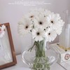 【奶霜棉花糖】非洲菊-史努比-10枝 | 公众号专享 商品缩略图2
