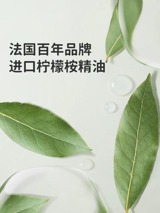 【春上新】9楼母婴生活馆 绿鼻子防护香薰贴儿童专用成人植物精油户外便携送驱蚊防蚊子用品 活动价：26.9元36枚图案随机 商品图1