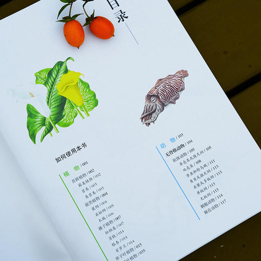 《世界百科全书大百科：博物大百科》 商品图10