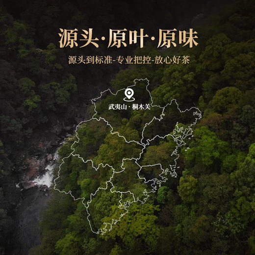 正山堂 正山小种纯茶原叶原味红茶饮料0糖0负担茶饮料自己喝自饮 商品图6