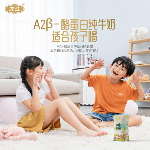 左江a2β-酪蛋白水牛纯牛奶 210ml*10盒 乳糖不耐受福音，营养好吸收 商品图2