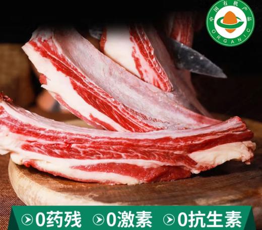 牧北鲜内蒙古有机原切牛肋排 商品图0