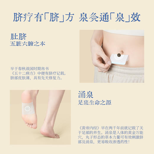 【真不二】成人款三伏贴套盒穴位贴+暖香丸双效组合 商品图3