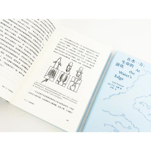 在水一方：生命的演化  从海洋到陆地，探寻生命 “上岸” 的奇幻进化史 商品图4