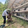 秦岭古法本草花蜜 商品缩略图4