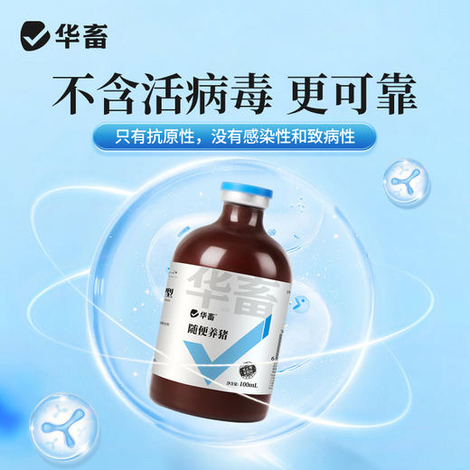 华畜随便养猪抗病毒防感染猪瘟预防免疫力强拉稀腹泻扶正添加剂 商品图2