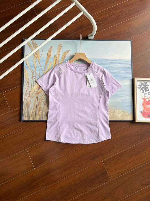 点此购买 迪桑特夏季女款运动休闲短袖圆领T恤 LL 319027 商品图3