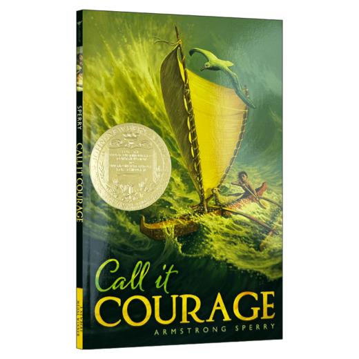 华研 你那样勇敢 英文原版小说 Call it Courage 勇气 纽伯瑞金奖作品 儿童文学英语课外阅读书籍 Armstrong Sperry 英文版进口书 商品图1