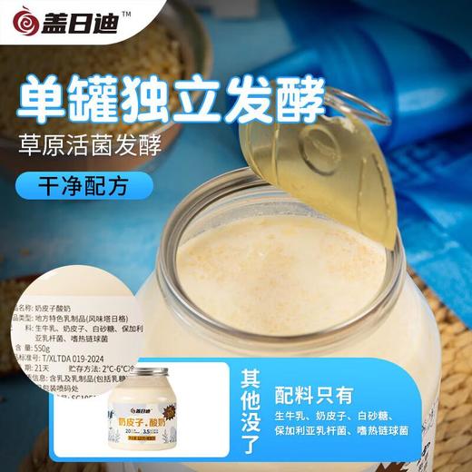 盖日迪奶皮子酸奶550g 商品图4