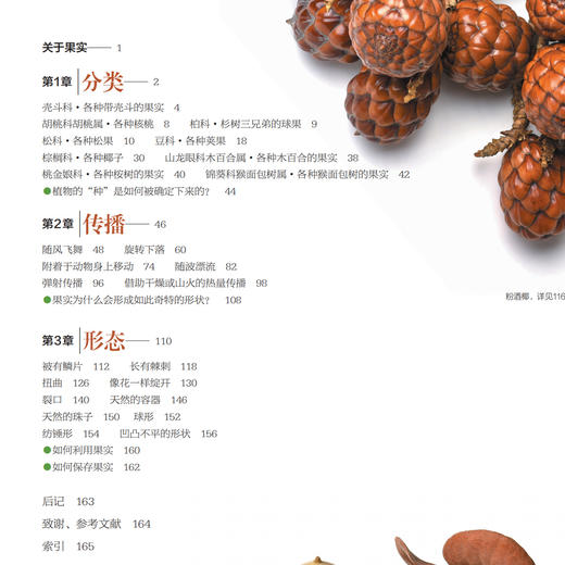 《世界上不可思议的果实种子图鉴》 商品图4