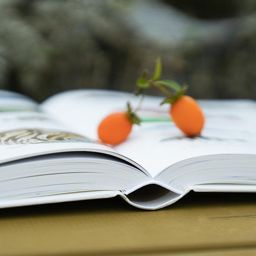 《世界百科全书大百科：博物大百科》 商品图9