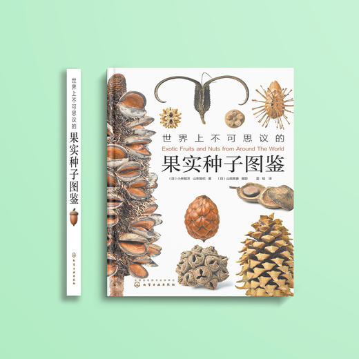 《世界上不可思议的果实种子图鉴》 商品图1