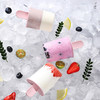 【雪糕模具】美丽雅雪糕盒冰格冰块模具家用食品冰棍冰棒冰淇淋冻冰糕自制冰盒级双层冰糕盒花形 商品缩略图4