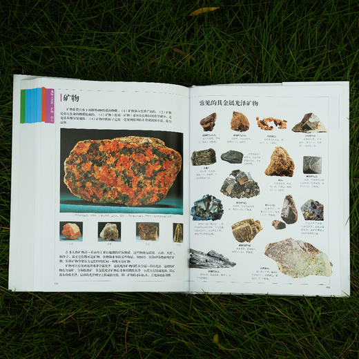 《世界百科全书大百科：博物大百科》 商品图12