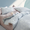 罗莱家纺淡蓝晨光全棉四件套 商品缩略图2