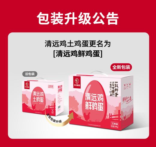 天农清远鸡鲜鸡蛋30枚 商品图1
