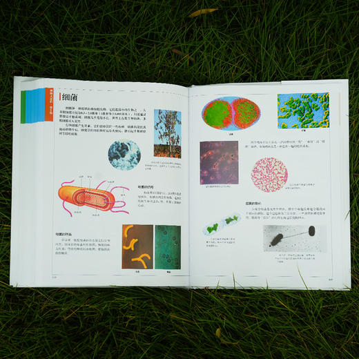 《世界百科全书大百科：博物大百科》 商品图13