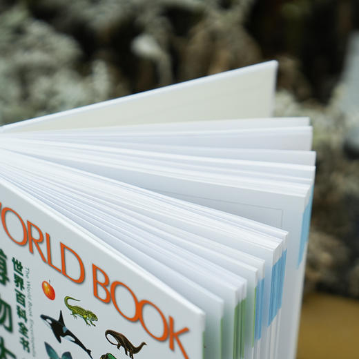 《世界百科全书大百科：博物大百科》 商品图8