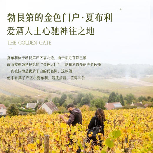 【法国进口】 法国穆德霍斯小夏布利干白葡萄酒  勃艮第AOC单一霞多丽干白葡萄酒  12%VOl 商品图5