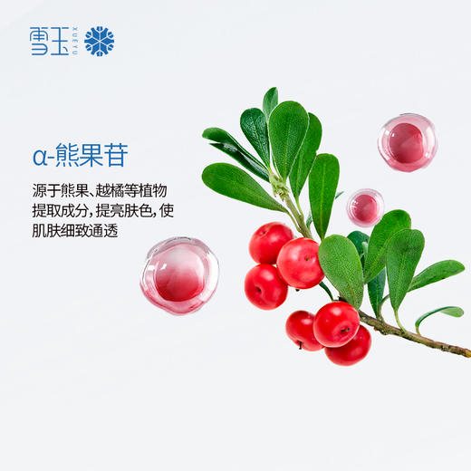 雪玉熊果苷锁水保湿晚霜（50g/瓶）） 商品图1