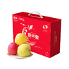 【洛川新品三色苹果】新鲜陕西洛川苹果水果 新三果12枚大果/小果精美手提礼盒装（秦脆+维纳斯黄金+瑞雪） 商品缩略图1