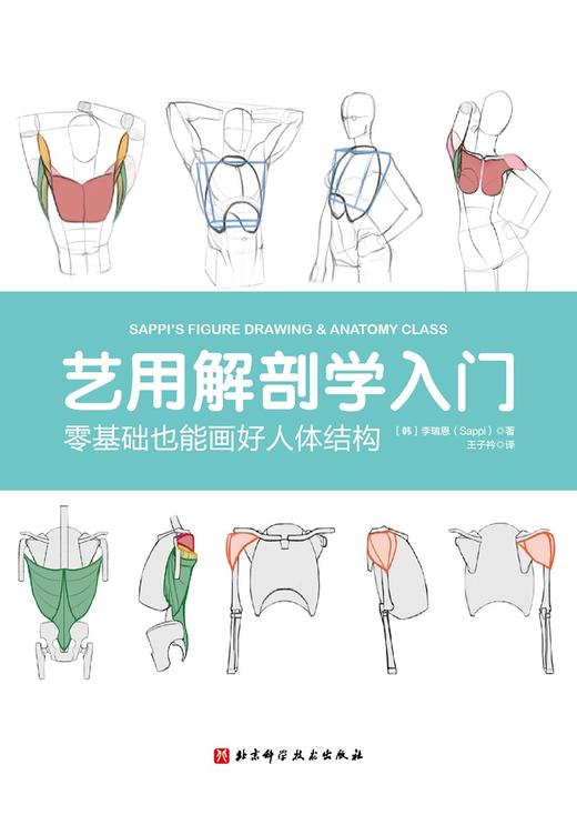 艺用解剖学入门 北科社 商品图2