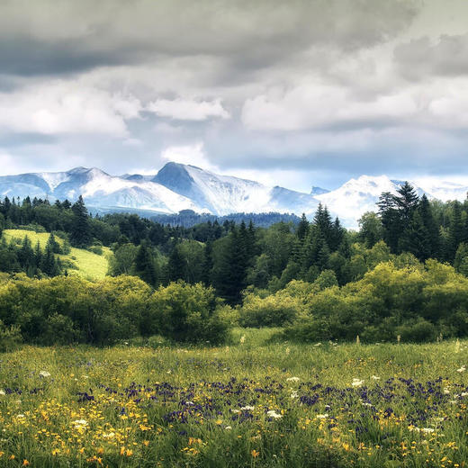 【春夏早鸟】2晚/3晚【长白山ClubMed度假村 (夏季)】暑期抢订！一价全包！畅享长白山夏季山林活动，享3000㎡天然温泉，每日三餐吃喝玩乐全包含，更有专业G.O帮你带娃！ 商品图3