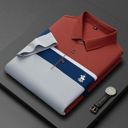 夏季新款翻领纯棉短袖男士t恤条纹休闲宽松POLO衫大码男装  PSL-PSL7302 商品图3