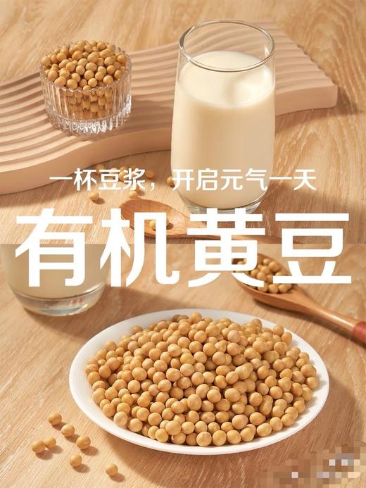 800g/袋仅29.9有机黄金黄豆东北黑土地种植自然晾晒人工手选颗颗饱满42.5%蛋白质含量配料表干净基地直邮 商品图3