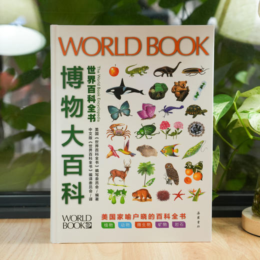 《世界百科全书大百科：博物大百科》 商品图2