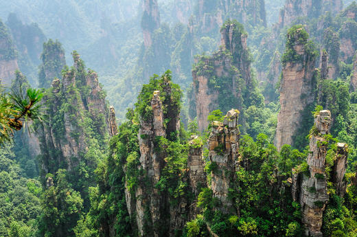 <湖南长沙+张家界4天精致小团（2-10人）>张家界森林公园/天子山（空中田园）/袁家界/杨家界/百龙电梯/十里画廊 金鞭溪/天门山国家森林公园 商品图1