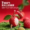 【顺丰冷链直发】海南妃子笑荔枝 净重2.5斤装/4.5斤装 皮薄核小 爆汁鲜甜 商品缩略图2