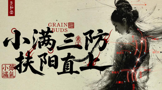 迷罗丨节气直播精华乙巳蛇年小满养生知识总纲 商品图0