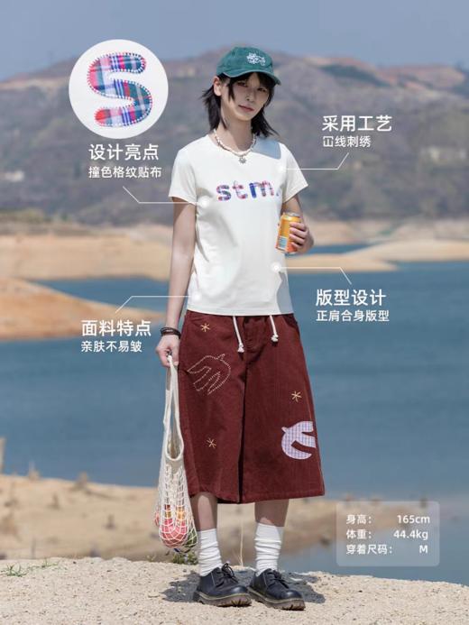 早乙女惠子saotome/STMDX252291/格纹贴布绣短袖T恤 商品图2