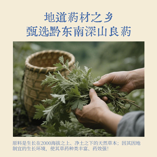 【真不二】成人款三伏贴套盒穴位贴+暖香丸双效组合 商品图4