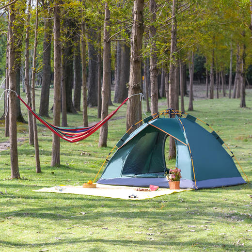 徽羚羊单人吊床 商品图1