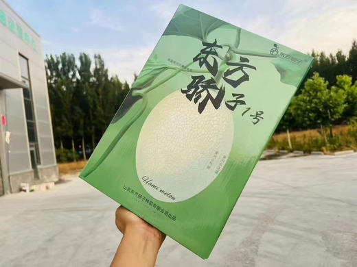 新东方娇子哈密瓜2粒礼盒装 商品图2