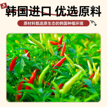 韩今韩式辣酱 韩国进口部队火锅拌饭辣牛肉粉丝汤酱 辣椒酱烤肉酱200g 商品图2