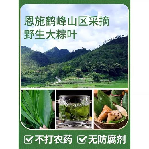香源 天然新鲜 包粽子 粽叶 50片/袋 商品图3